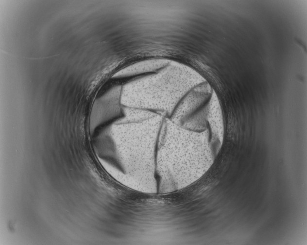 X0000102780394200809151107