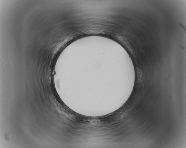 X0000102780395200809151107