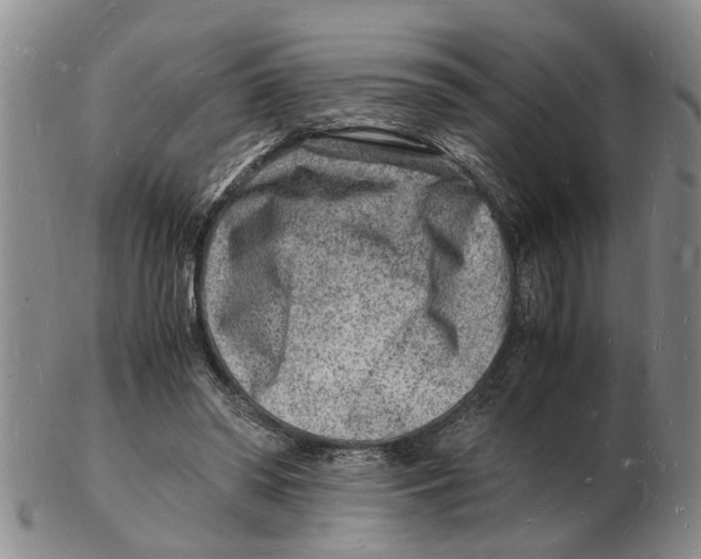 X0000102780398200809151107