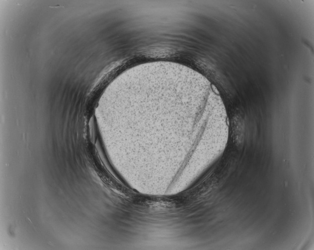 X0000102780400200809151107