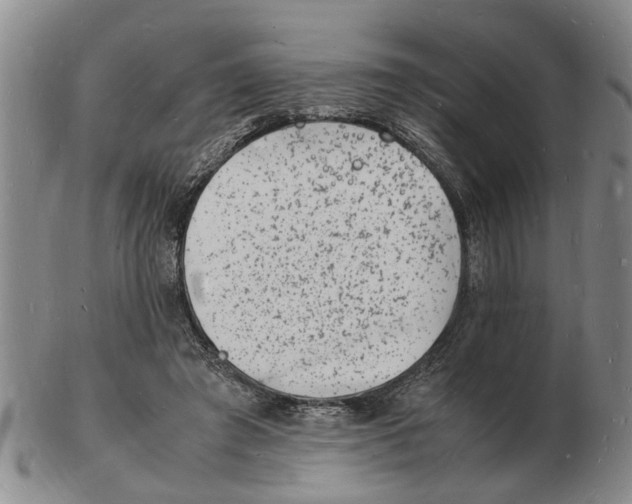 X0000102780401200809151107