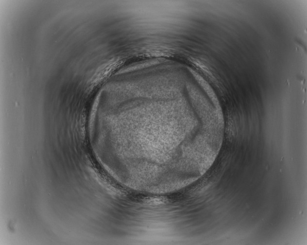 X0000102780402200809151107