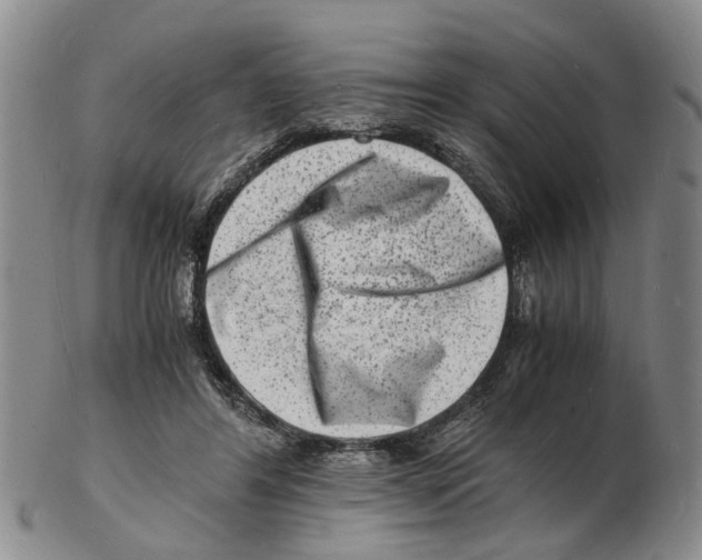 X0000102780404200809151107