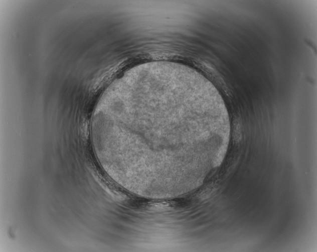 X0000102780405200809151107