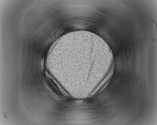 X0000102780406200809151107