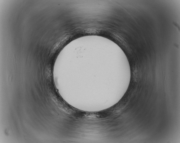 X0000102780407200809151107