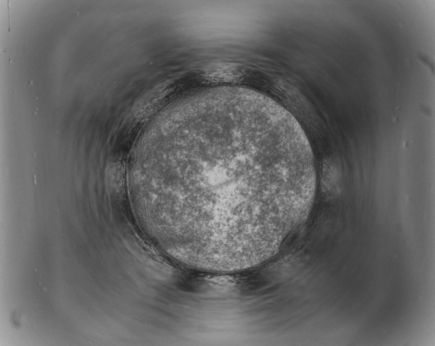 X0000102780409200809151107