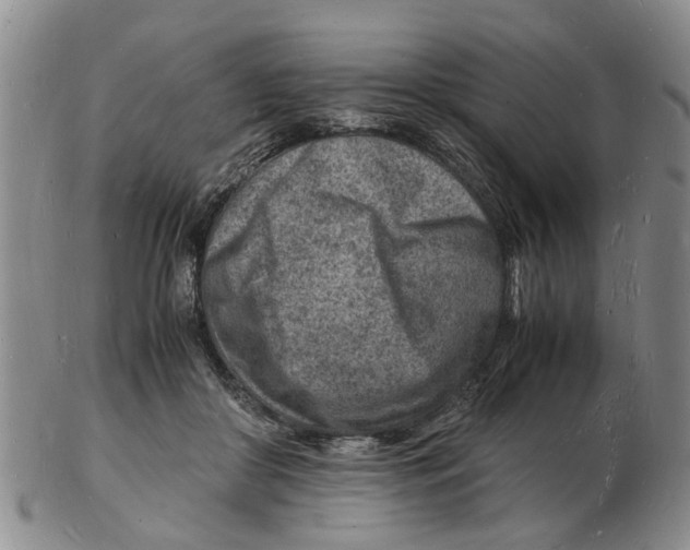 X0000102780410200809151107