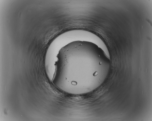 X0000102780411200809151107