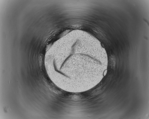 X0000102780412200809151107