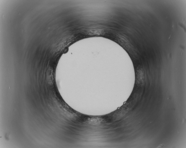 X0000102780414200809151107