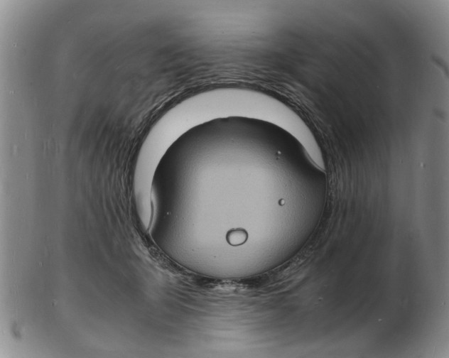 X0000102780415200809151107