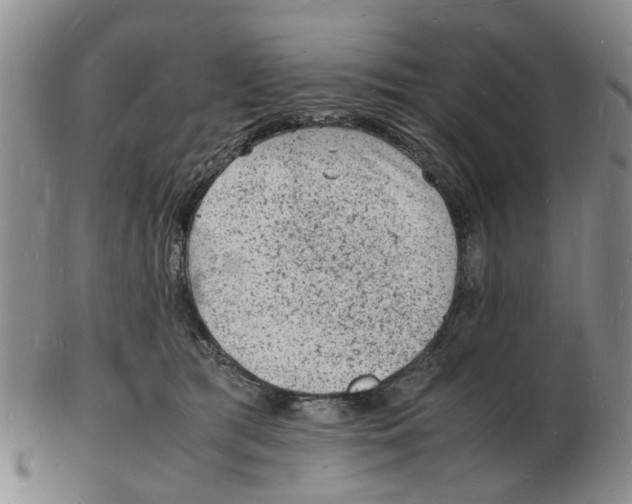 X0000102780417200809151107