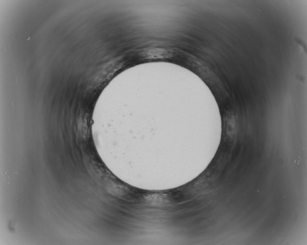 X0000102780422200809151107