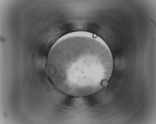 X0000102780423200809151107