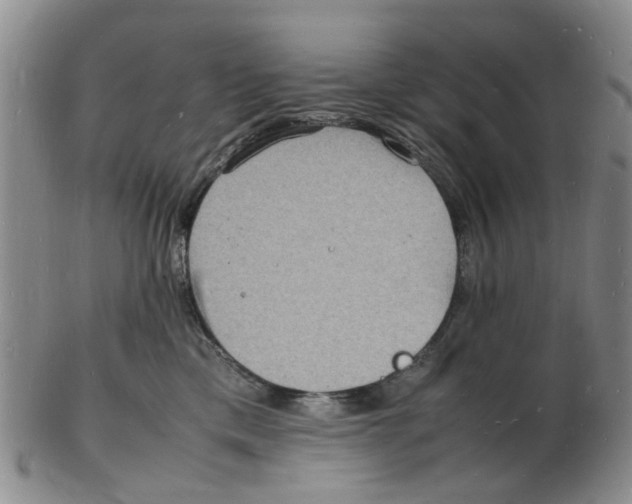 X0000102780425200809151107