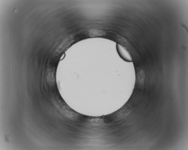 X0000102780426200809151107