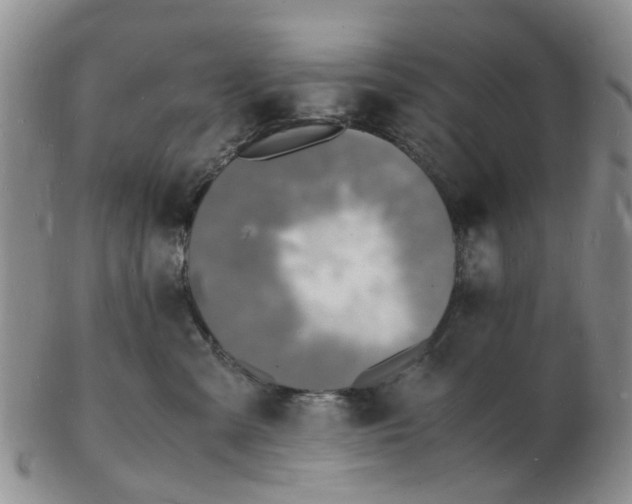 X0000102780427200809151107