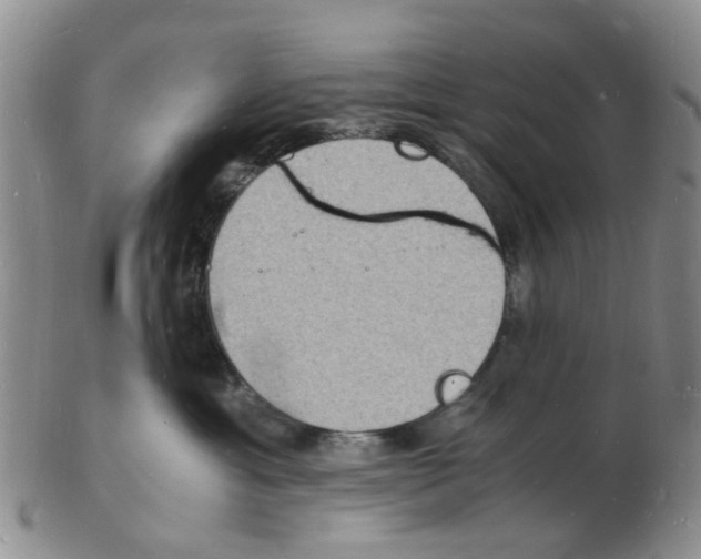 X0000102780429200809151107