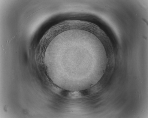 X0000102780431200809151107