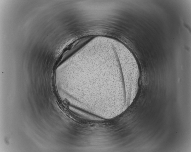 X0000102780434200809151106