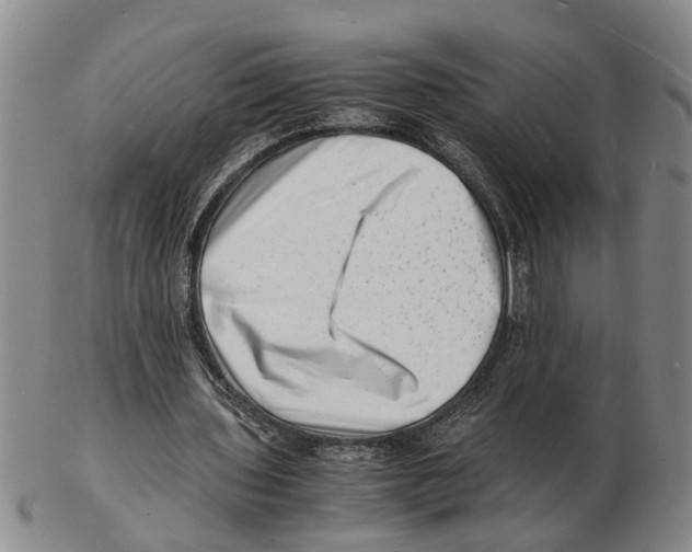 X0000102780435200809151106