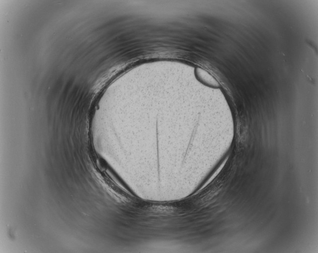 X0000102780437200809151106