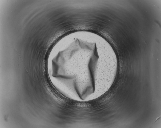 X0000102780439200809151106