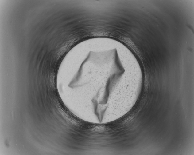 X0000102780441200809151106