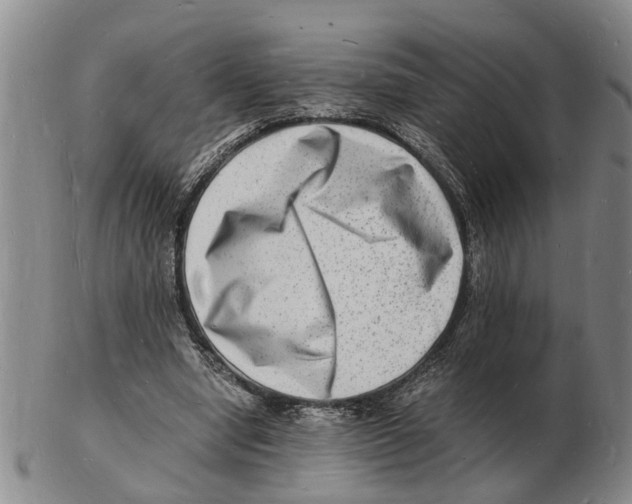 X0000102780442200809151106