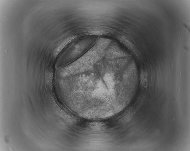 X0000102780444200809151106