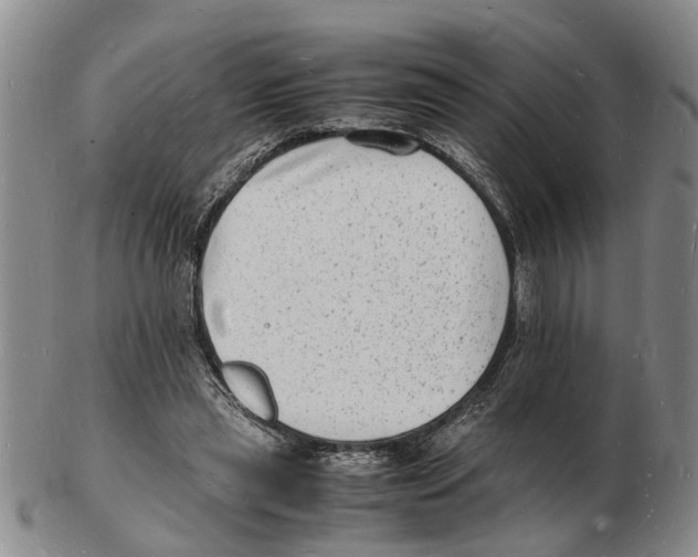 X0000102780445200809151106