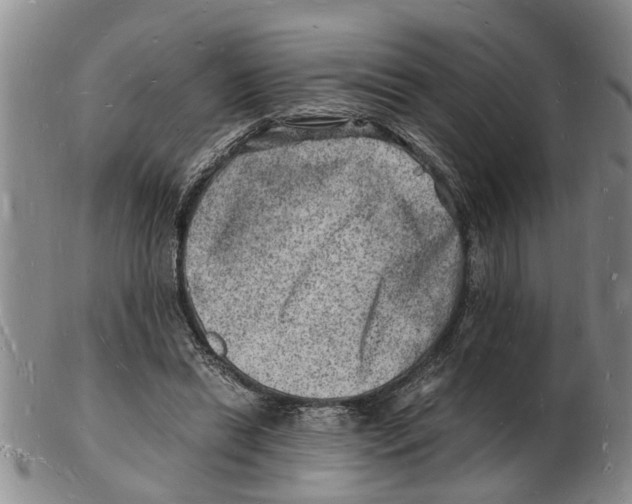 X0000102780446200809151106