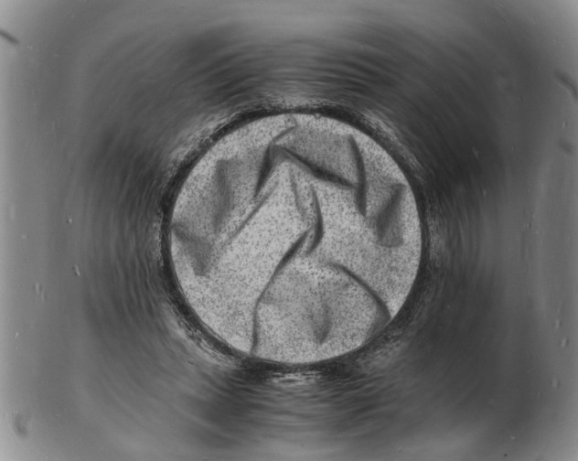 X0000102780447200809151106