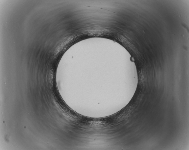 X0000102780448200809151106