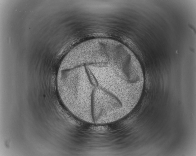 X0000102780449200809151106