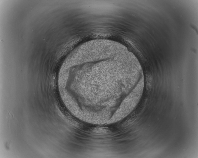 X0000102780451200809151106