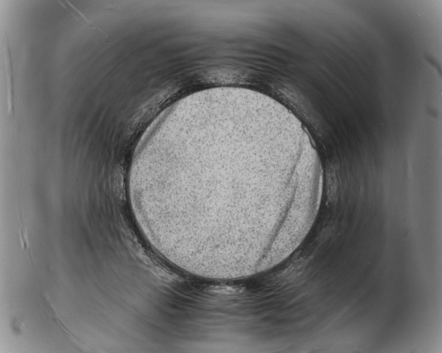 X0000102780453200809151106