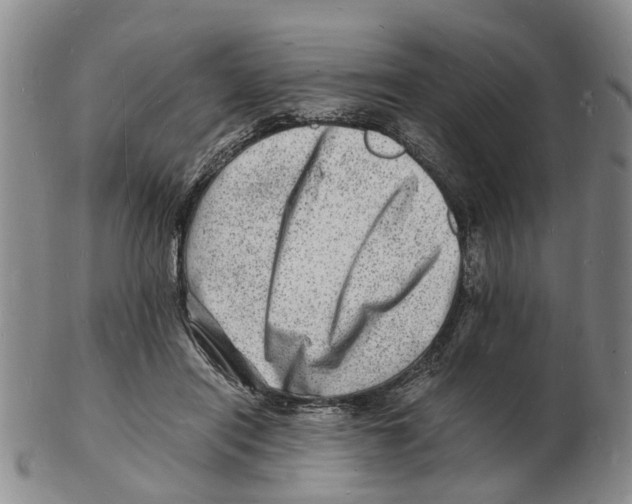 X0000102780454200809151106