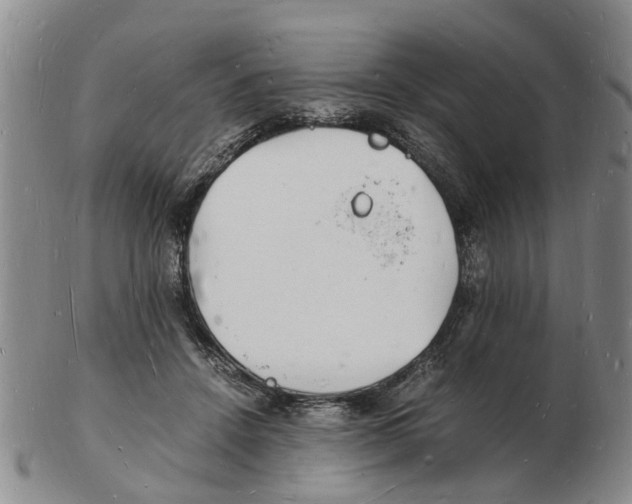 X0000102780456200809151106