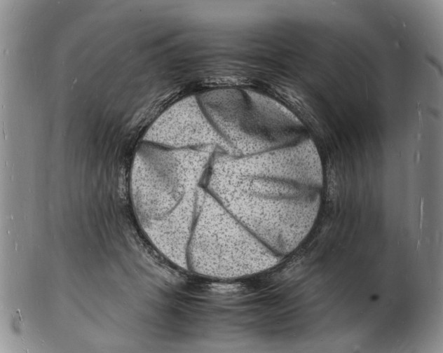 X0000102780457200809151106