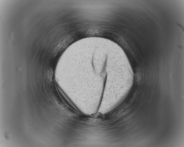 X0000102780458200809151106