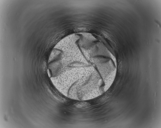 X0000102780459200809151106