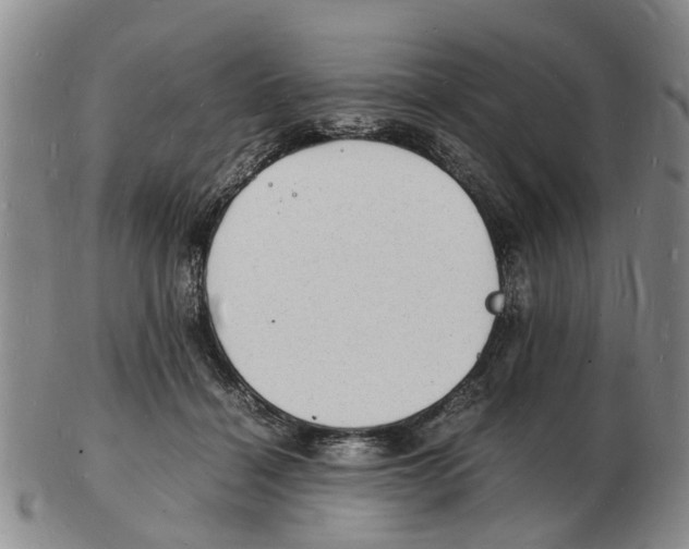 X0000102780460200809151106