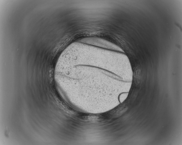 X0000102780462200809151106