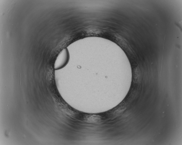 X0000102780463200809151107