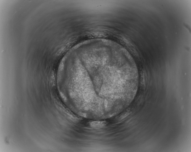 X0000102780465200809151107