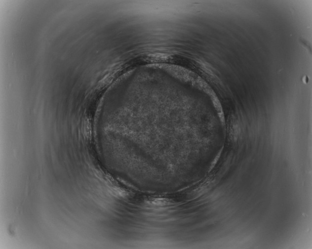 X0000102780467200809151107