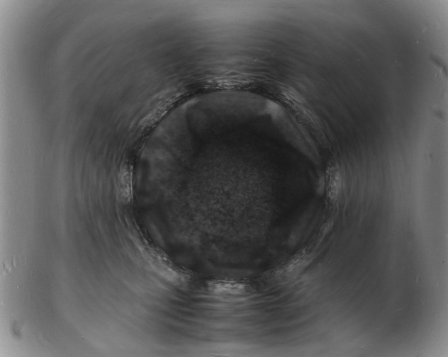 X0000102780471200809151107