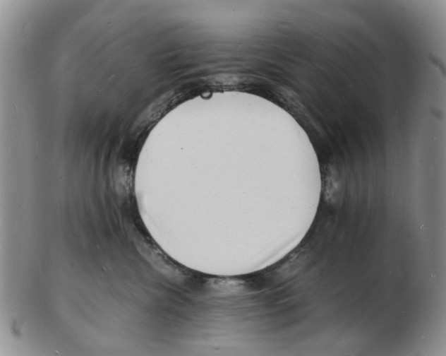 X0000102780476200809151107